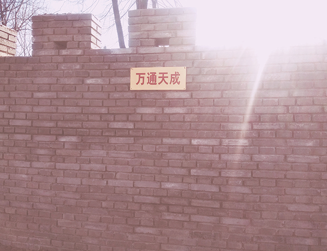 (yng)ľ늗U